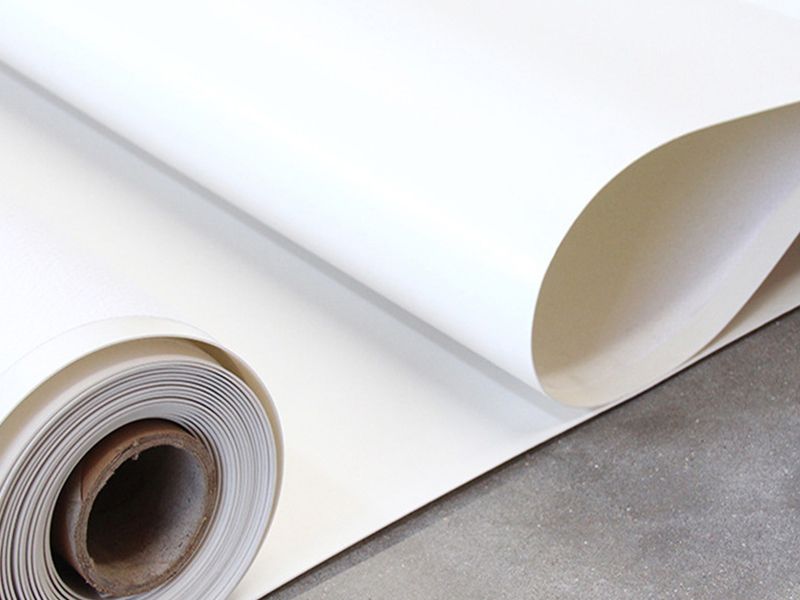 Thermoplastic polyolefin (TPO) waterproofing membrane